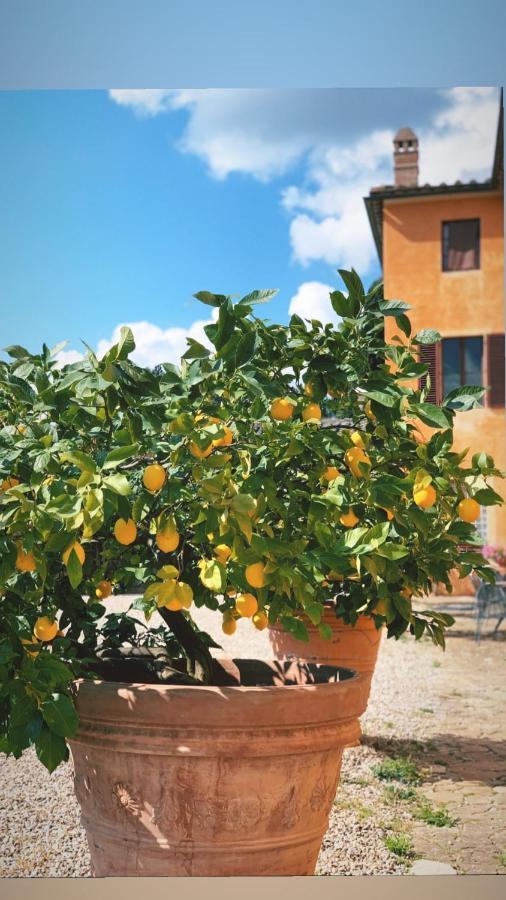 Fattoria Di Catignano Pensionat San Giovanni  Eksteriør billede