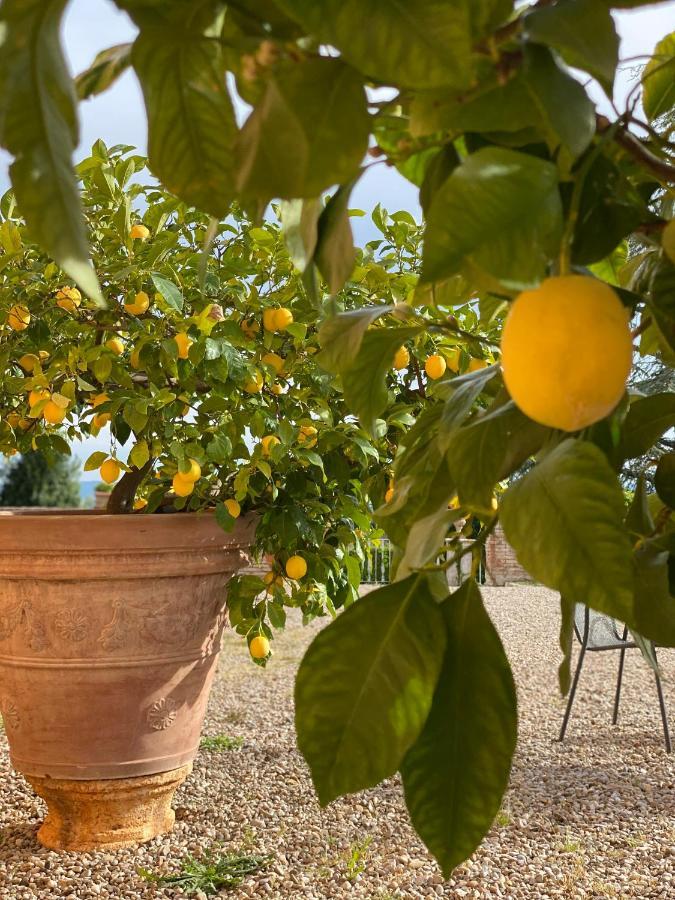 Fattoria Di Catignano Pensionat San Giovanni  Eksteriør billede